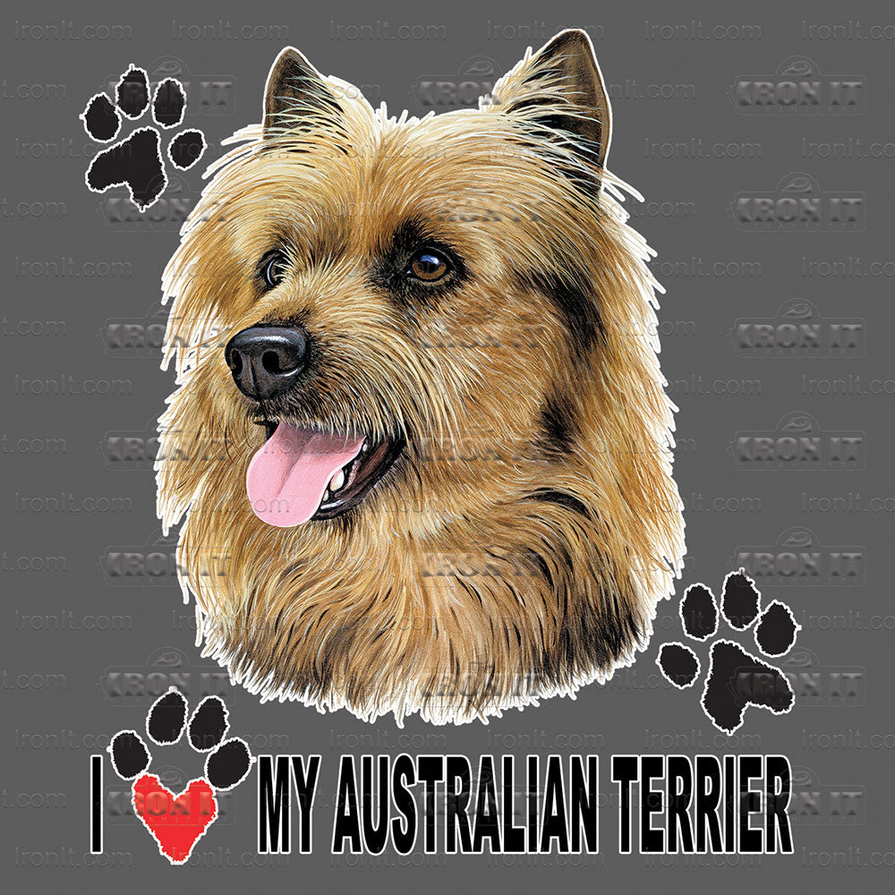 Australian Terrier