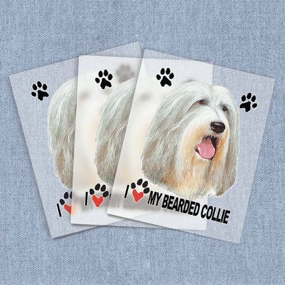 Bearded Collie