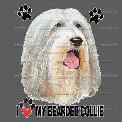 Bearded Collie