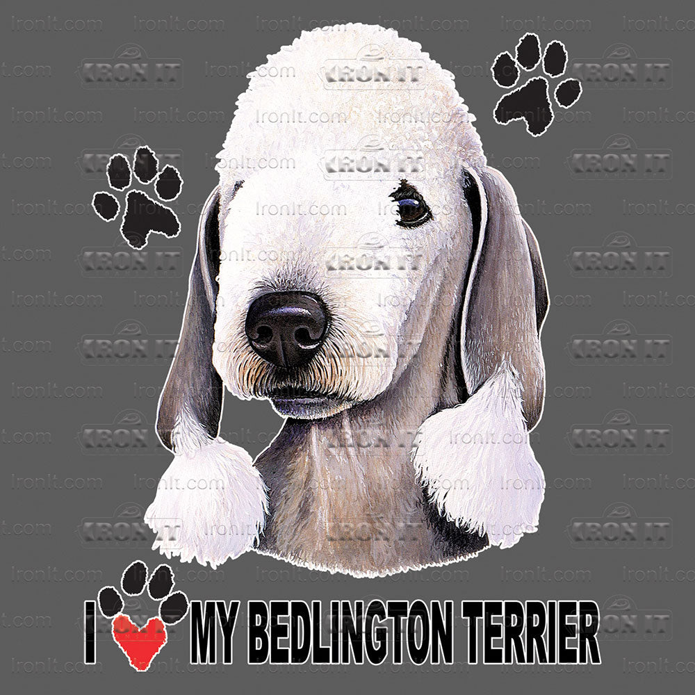 Bedlington Terrier