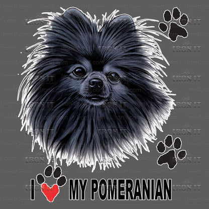 Black Pomeranian