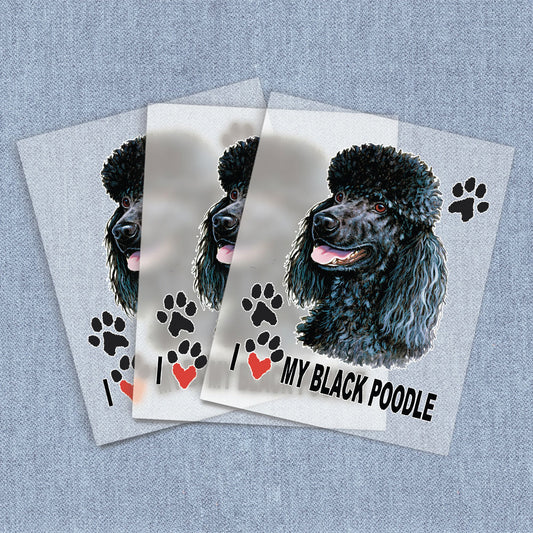 Black Poodle