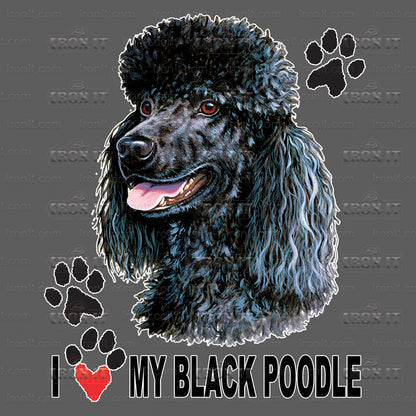 Black Poodle