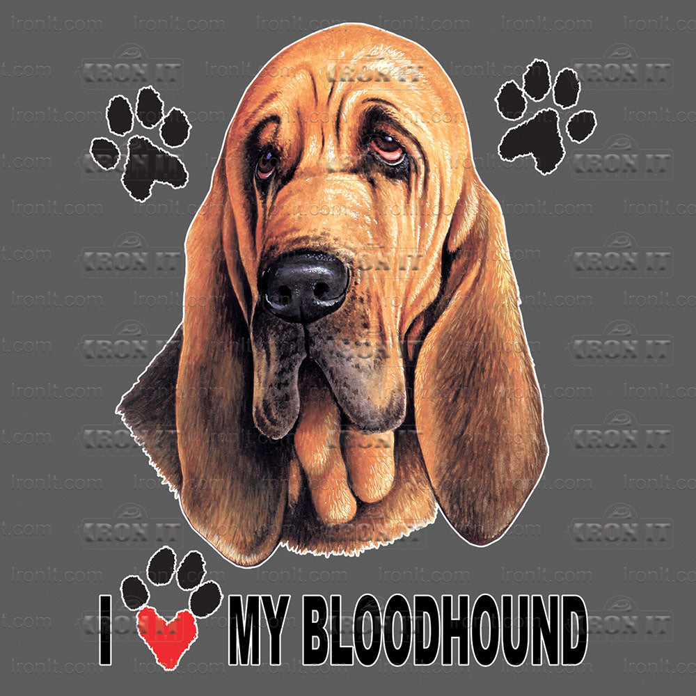 Bloodhound