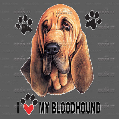 Bloodhound