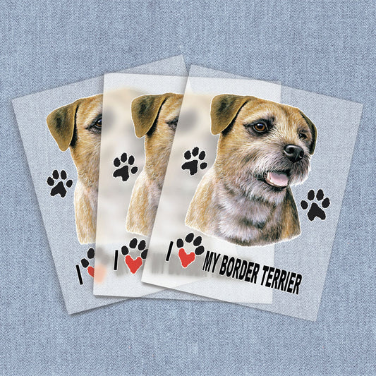 Border Terrier