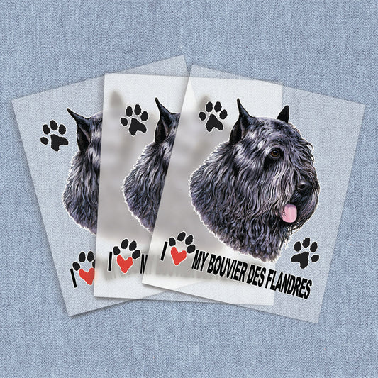 Bouvier Des Flandres