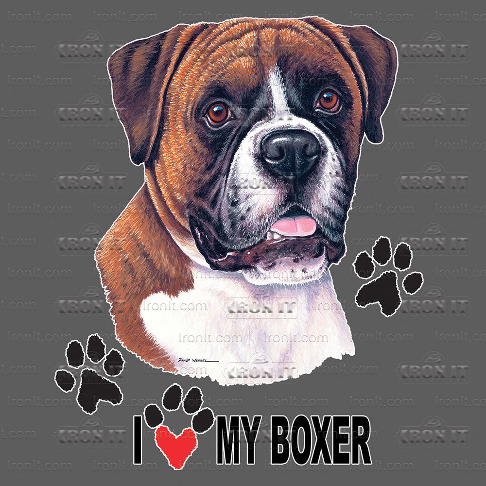 Boxer