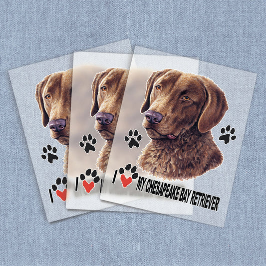 Chesapeake Bay Retriever