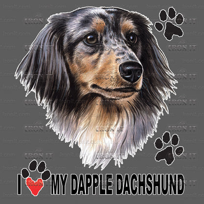 Dapple Dachshund