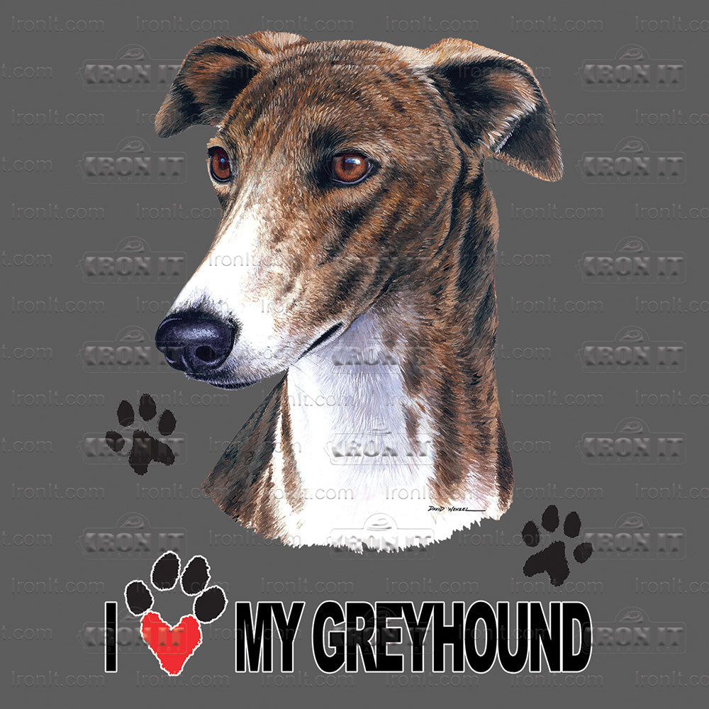 Greyhound