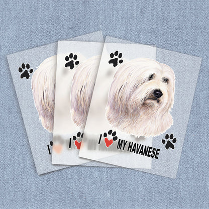 Havanese