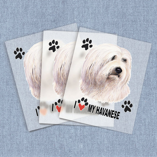 Havanese