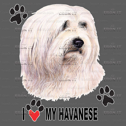 Havanese