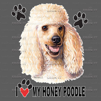 Honey Poodle