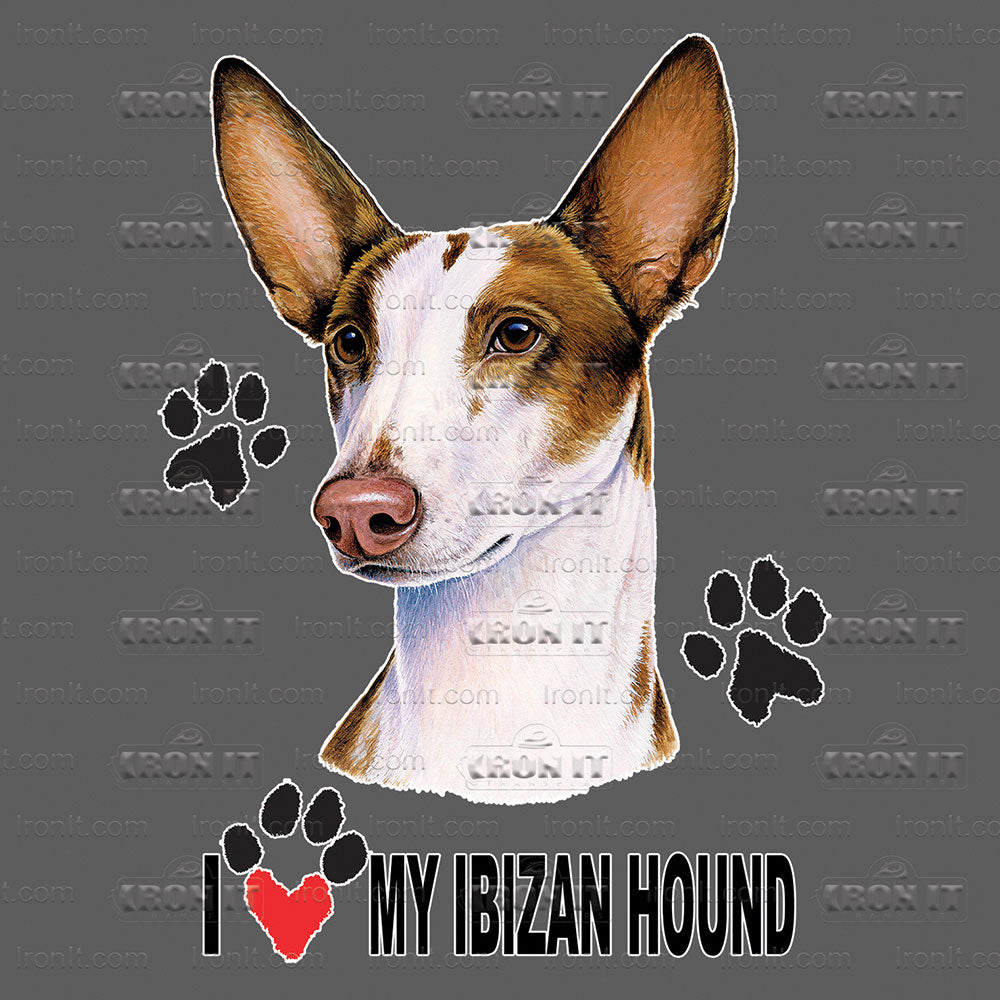 Ibizan Hound