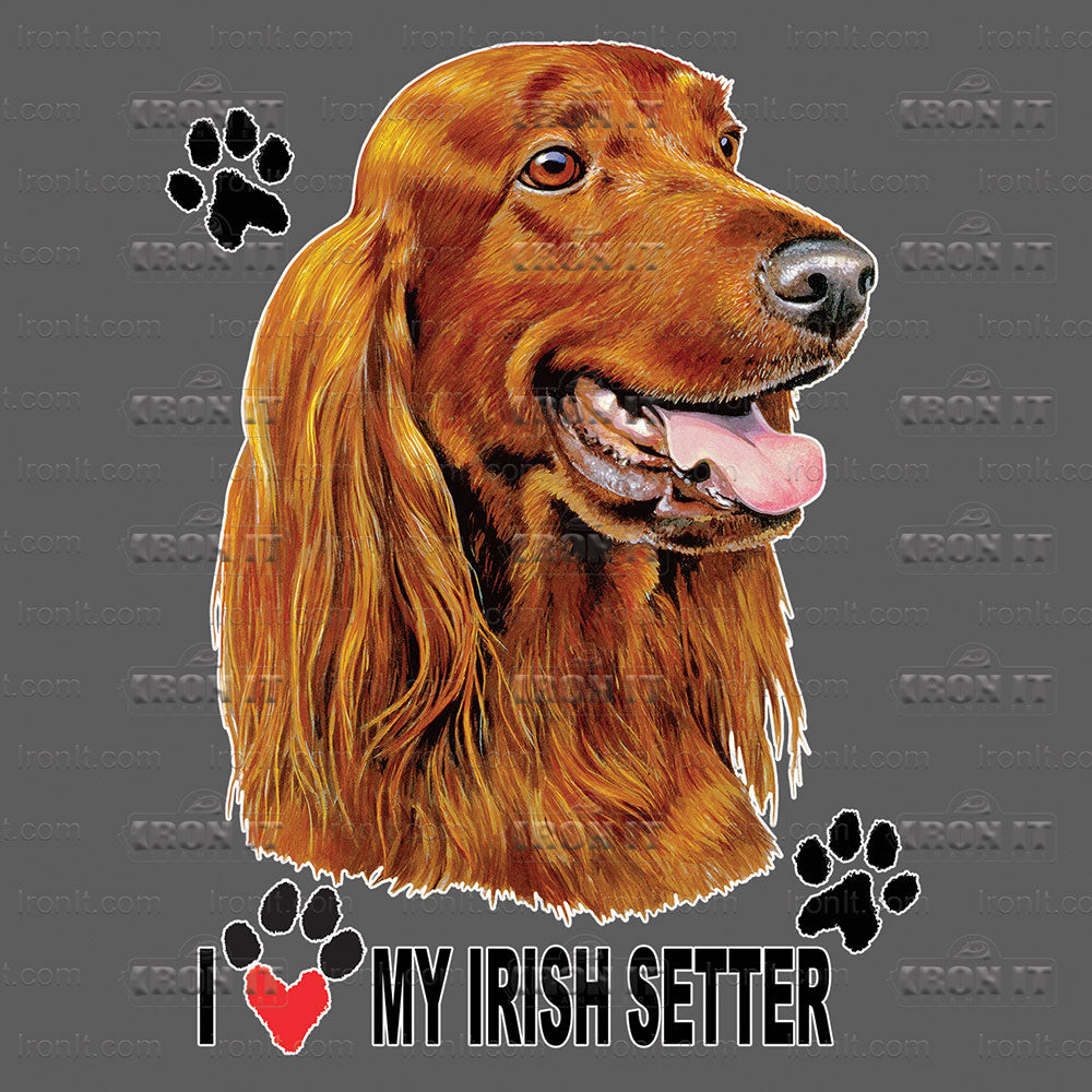 Irish Setter