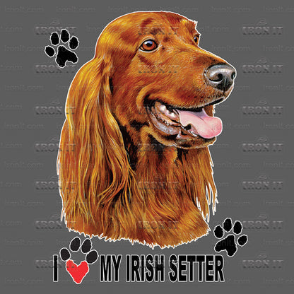 Irish Setter