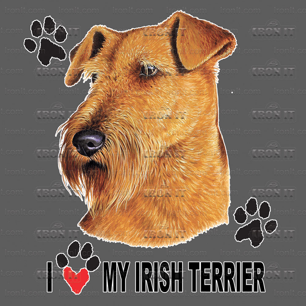 Irish Terrier