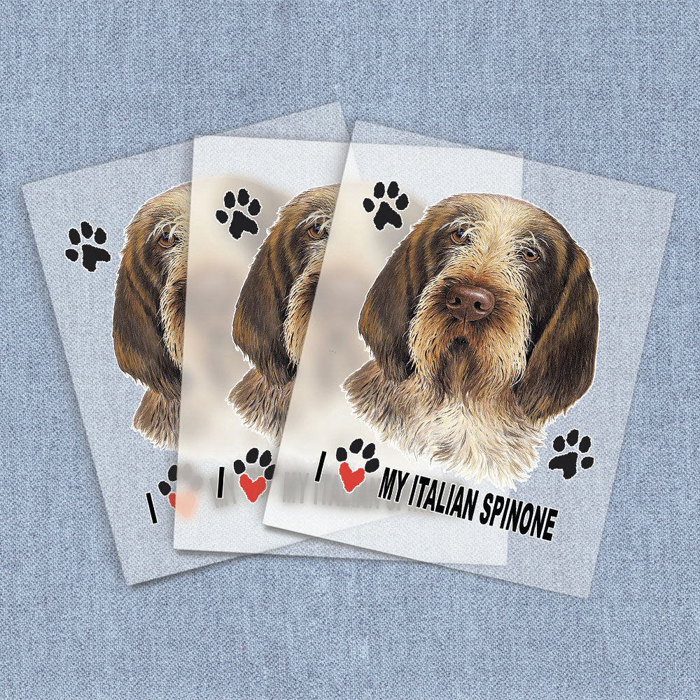 Italian Spinone