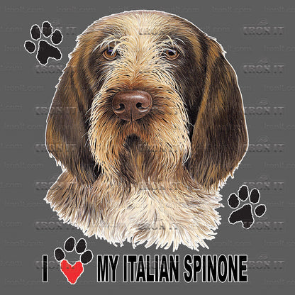 Italian Spinone