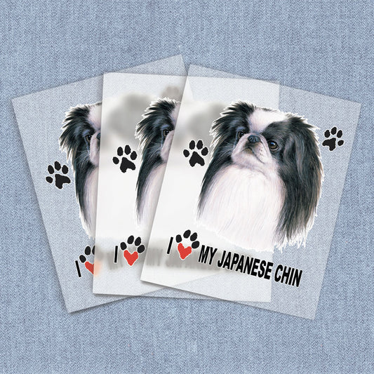 Japanese Chin