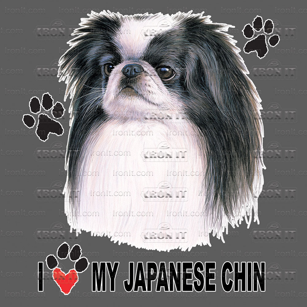 Japanese Chin