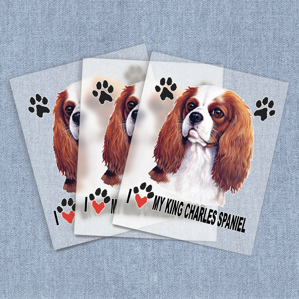 King Charles Spaniel