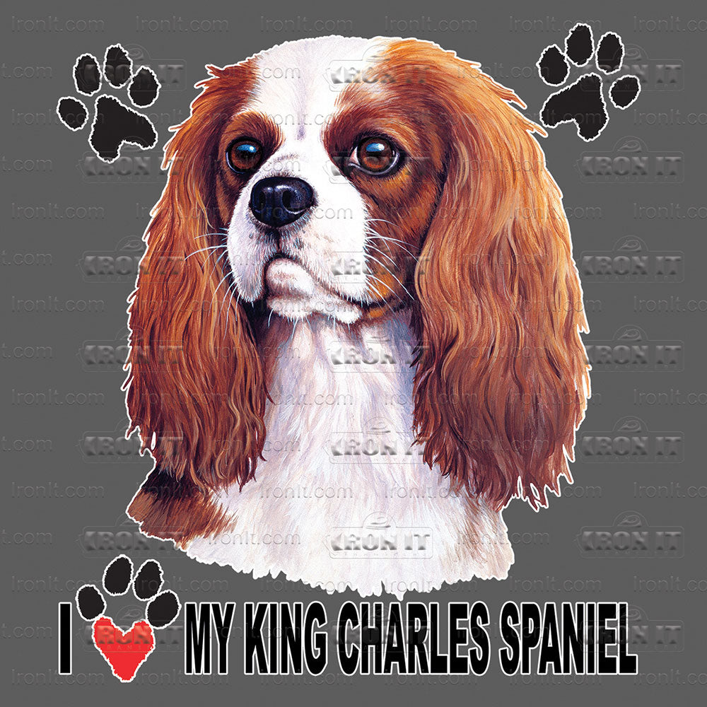 King Charles Spaniel