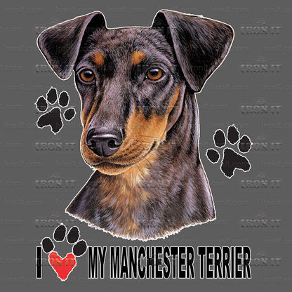 Manchester Terrier