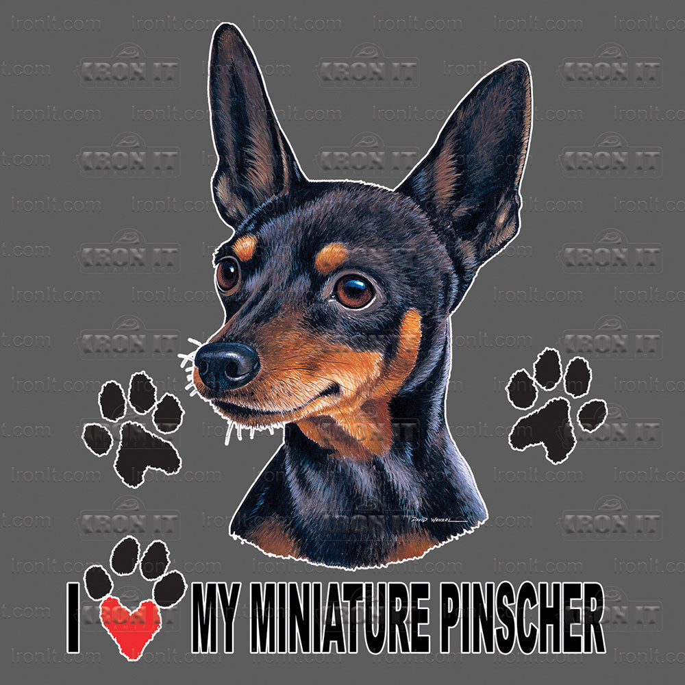 Miniature Pinscher