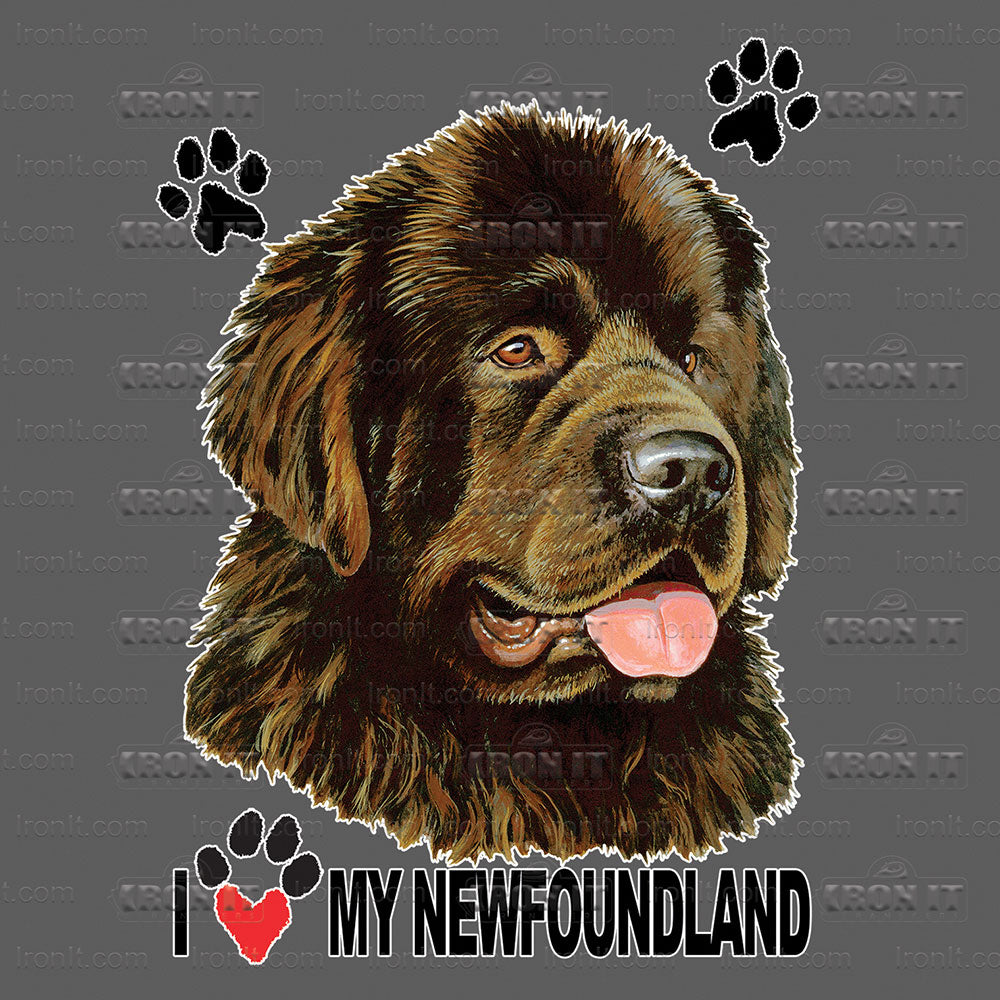 Newfoundland