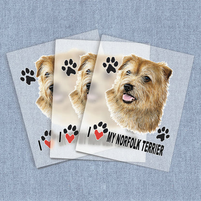 Norfolk Terrier