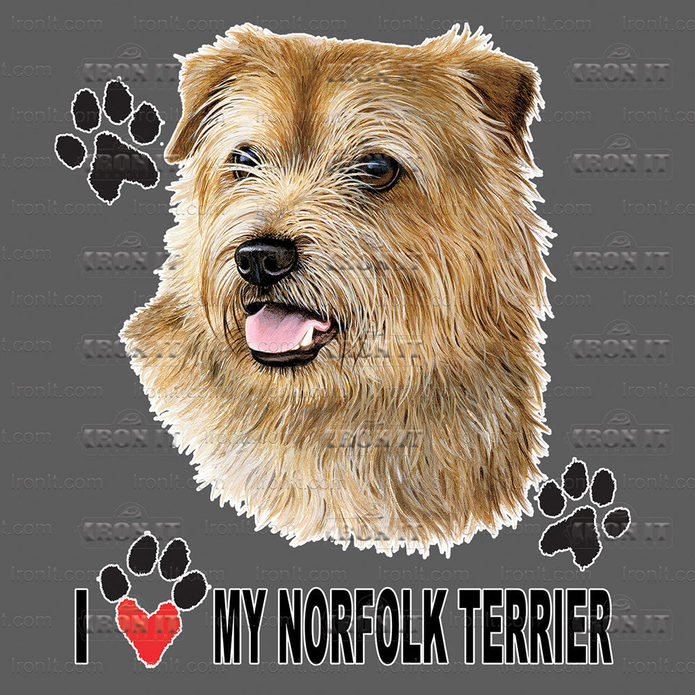 Norfolk Terrier