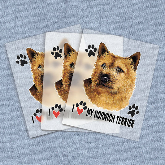 Norwich Terrier