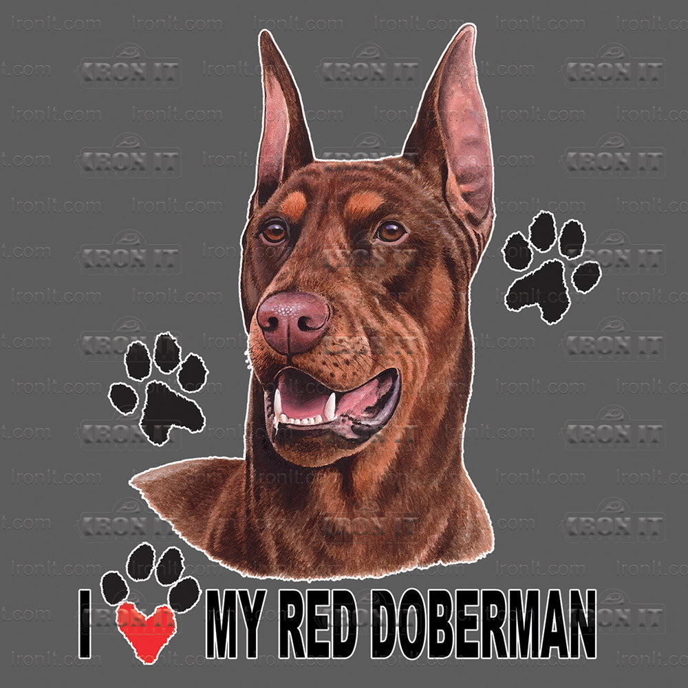 Red Doberman