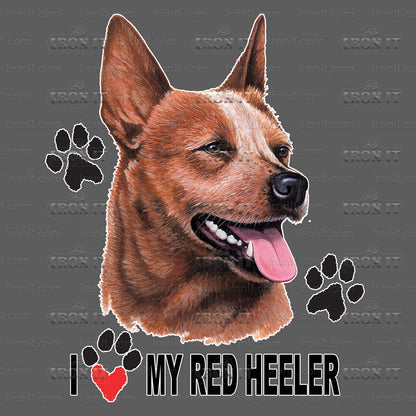 Red Heeler