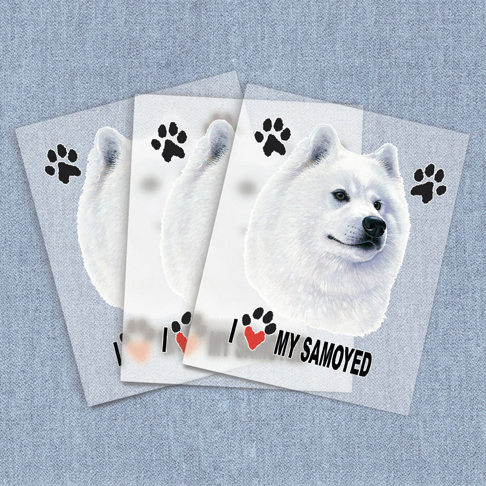 Samoyed