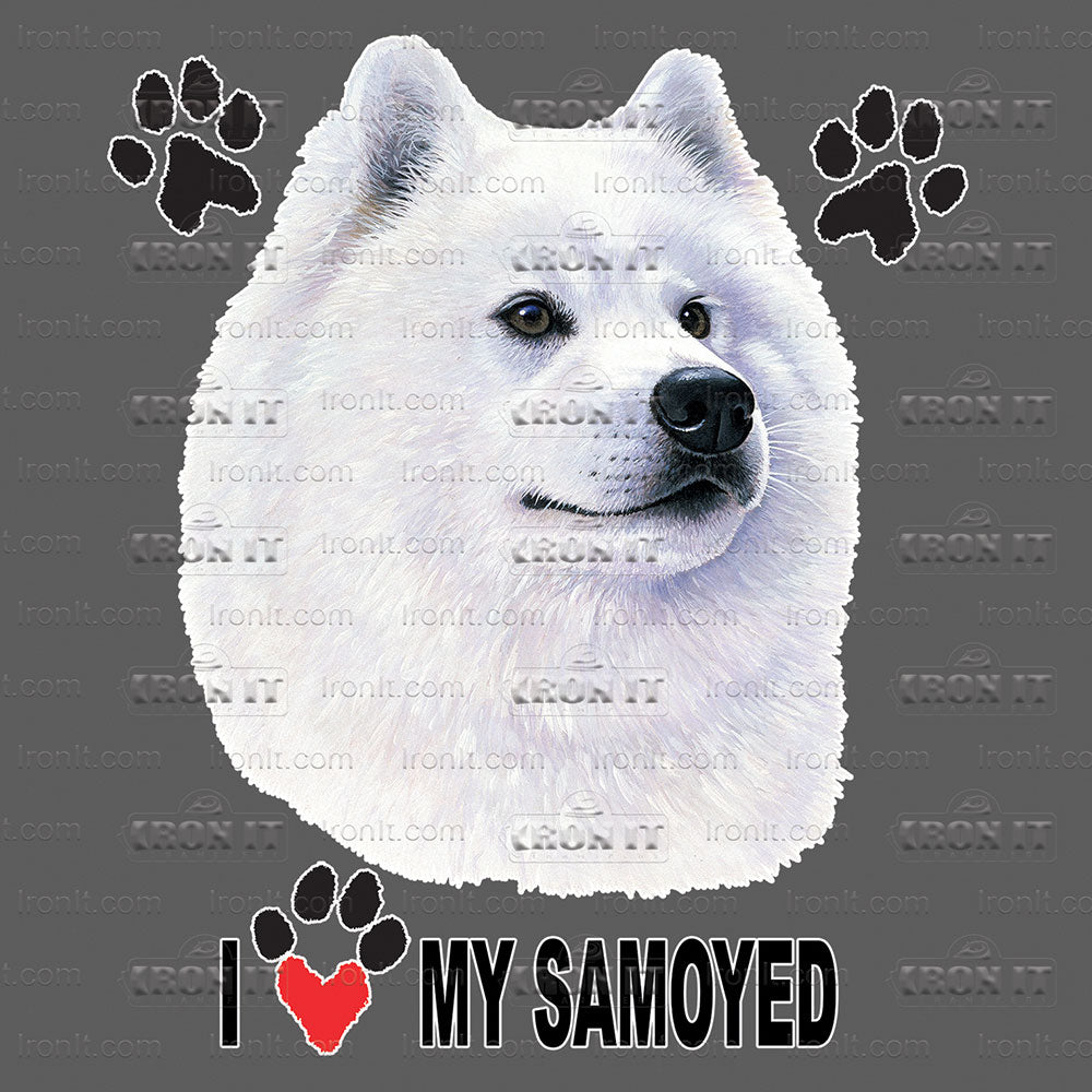 Samoyed