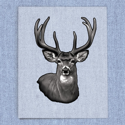 Deer Portrait