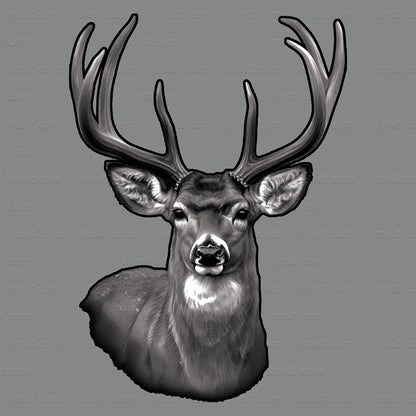 Deer Portrait