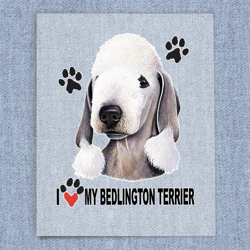 Bedlington Terrier