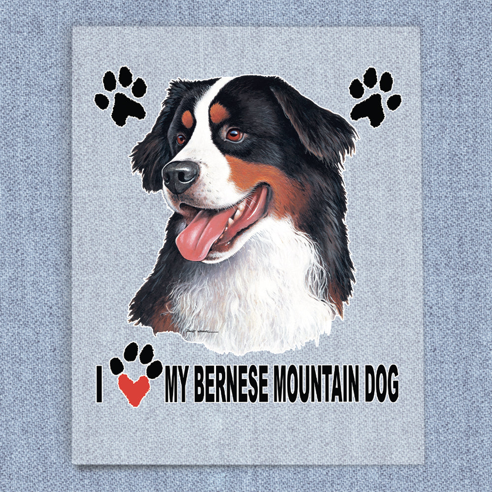 Bernese Mountain Dog