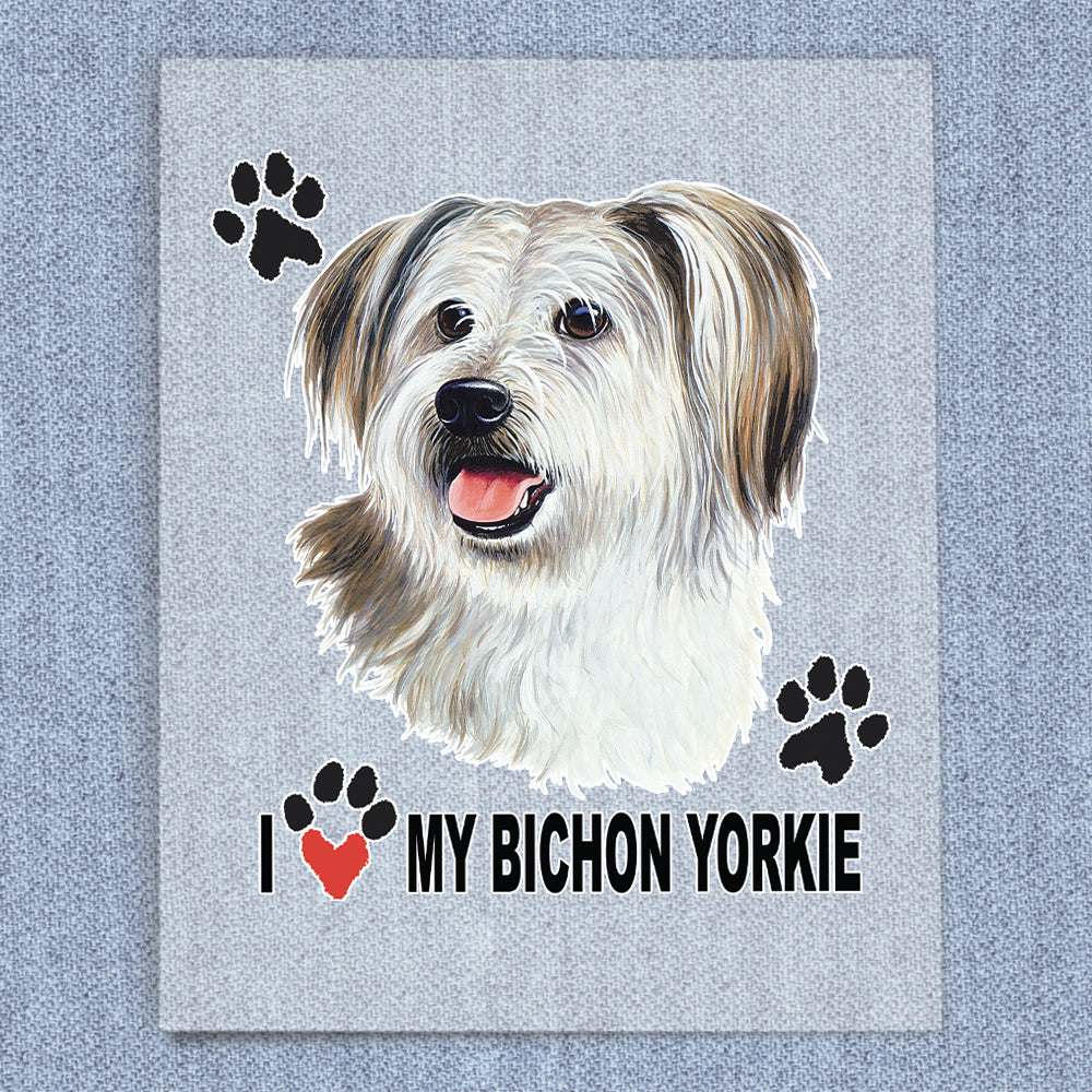 Bichon Yorkie