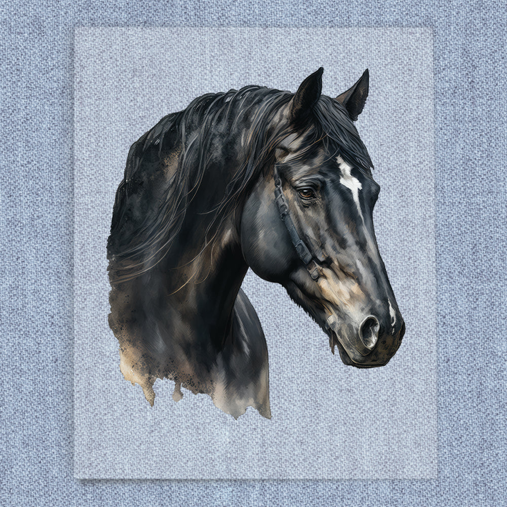 Black Horse Head