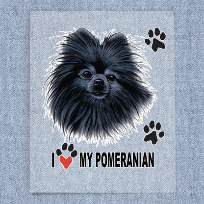 Black Pomeranian