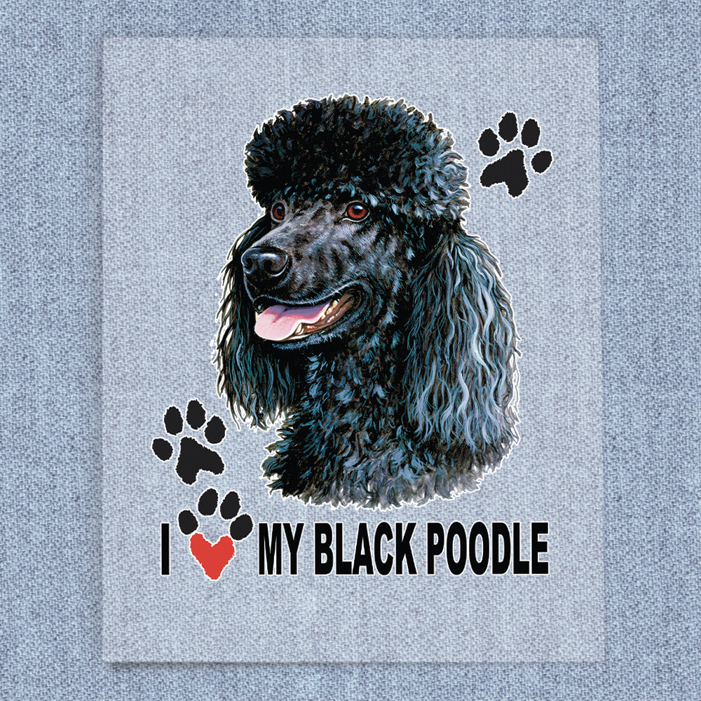 Black Poodle