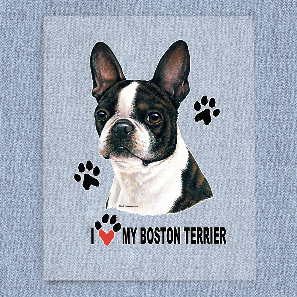 Boston Terrier