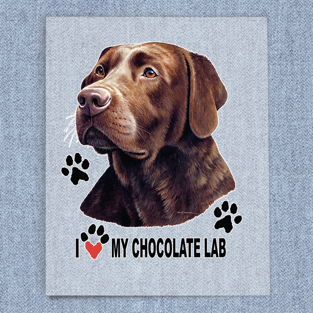 Chocolate Lab