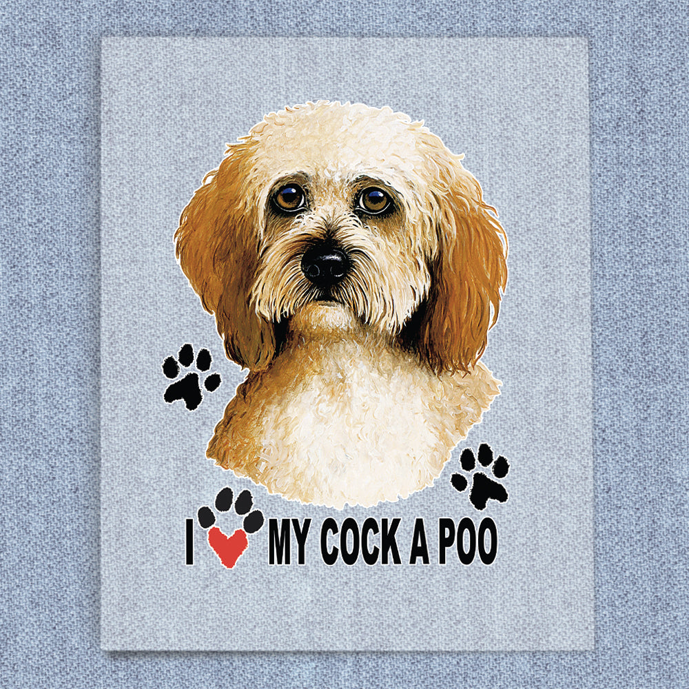 Cockapoo